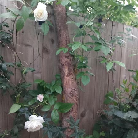 贝尔法斯特Waveney别墅 外观 照片